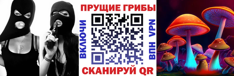 Галлюциногенные грибы Psilocybine cubensis Томилино