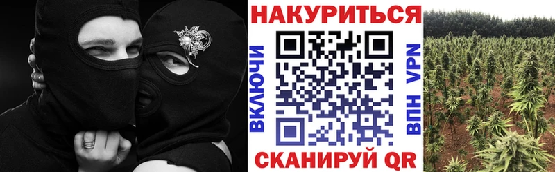 купить закладку  Томилино  Марихуана OG Kush 